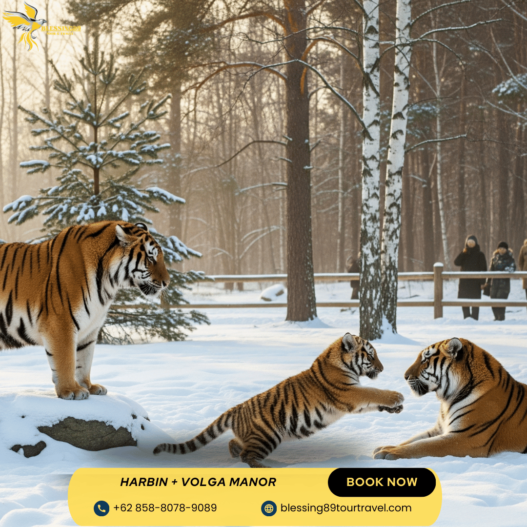 10 Day Beatiful Harbin + Volgar Manor