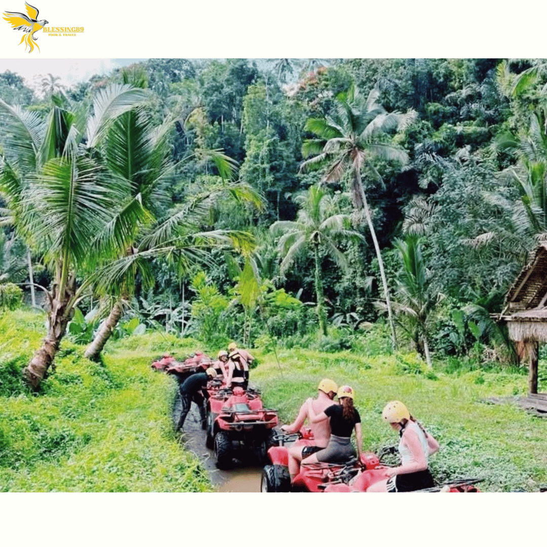 4 Days 3 Nights- Bali Hits