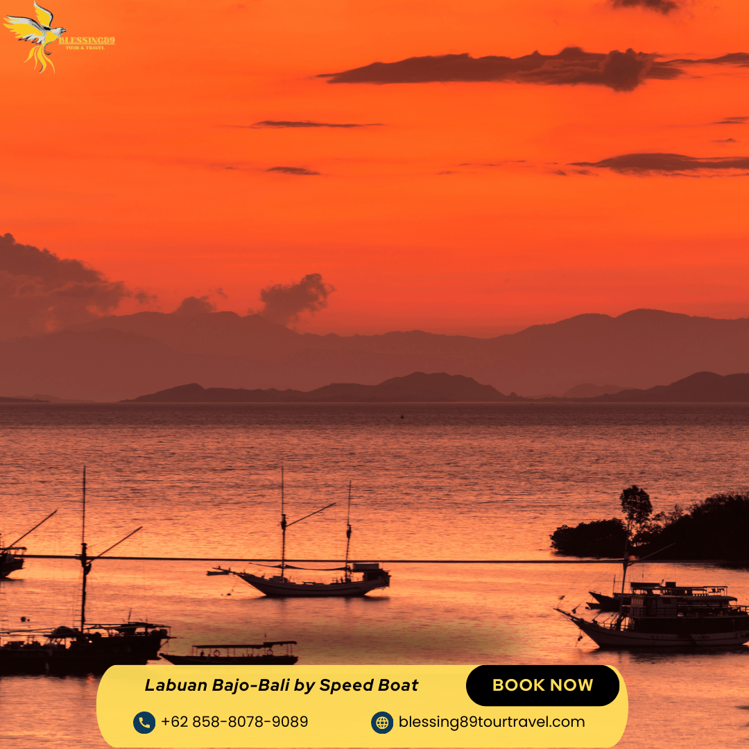 Open Trip Labuan Bajo Phinisi