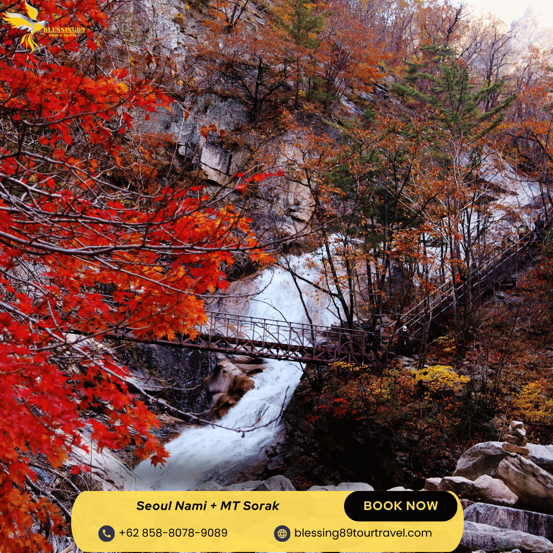 6 D Seoul Nami  + MT Sorak